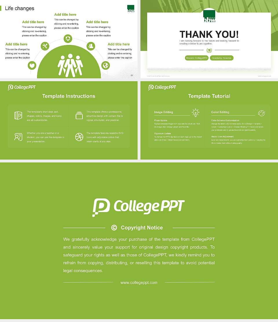bbw University of Applied Sciences National Scholarship Defense PPT Template16:9 ratio PPT effect preview image4