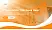University of Passau Lecture Sharing and Networking Event PPT Template