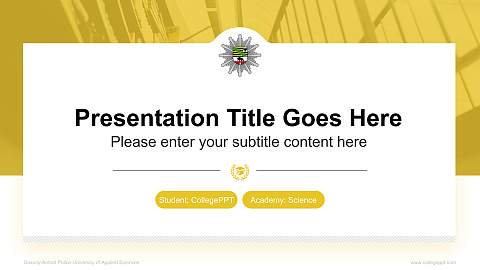 Saxony-Anhalt Police University of Applied Sciences National Scholarship Defense PPT Template