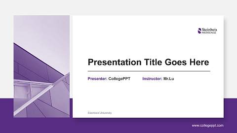 Steinbeis University General PPT Template