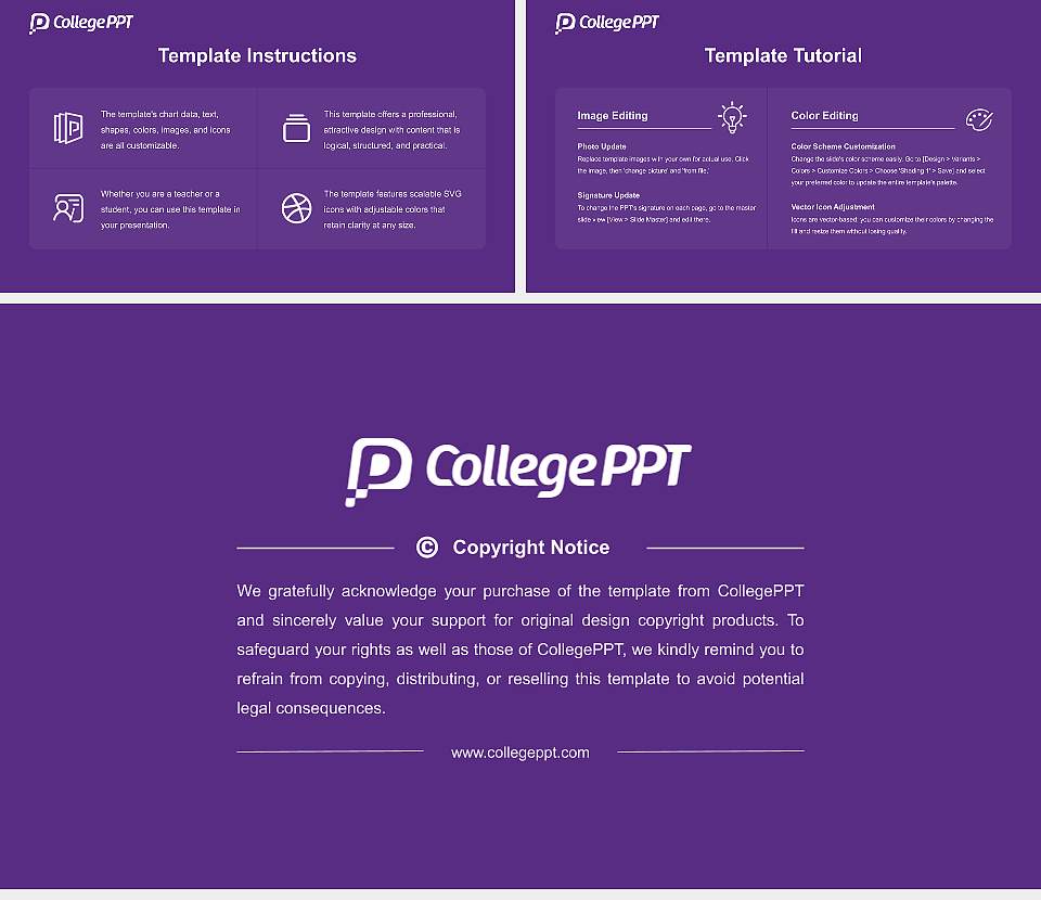 Steinbeis University Academic Presentation/Research Findings Report PPT Template16:9 ratio PPT effect preview image5