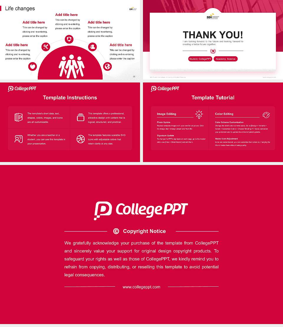 SDI Munich International University of Applied Sciences National Scholarship Defense PPT Template16:9 ratio PPT effect preview image4