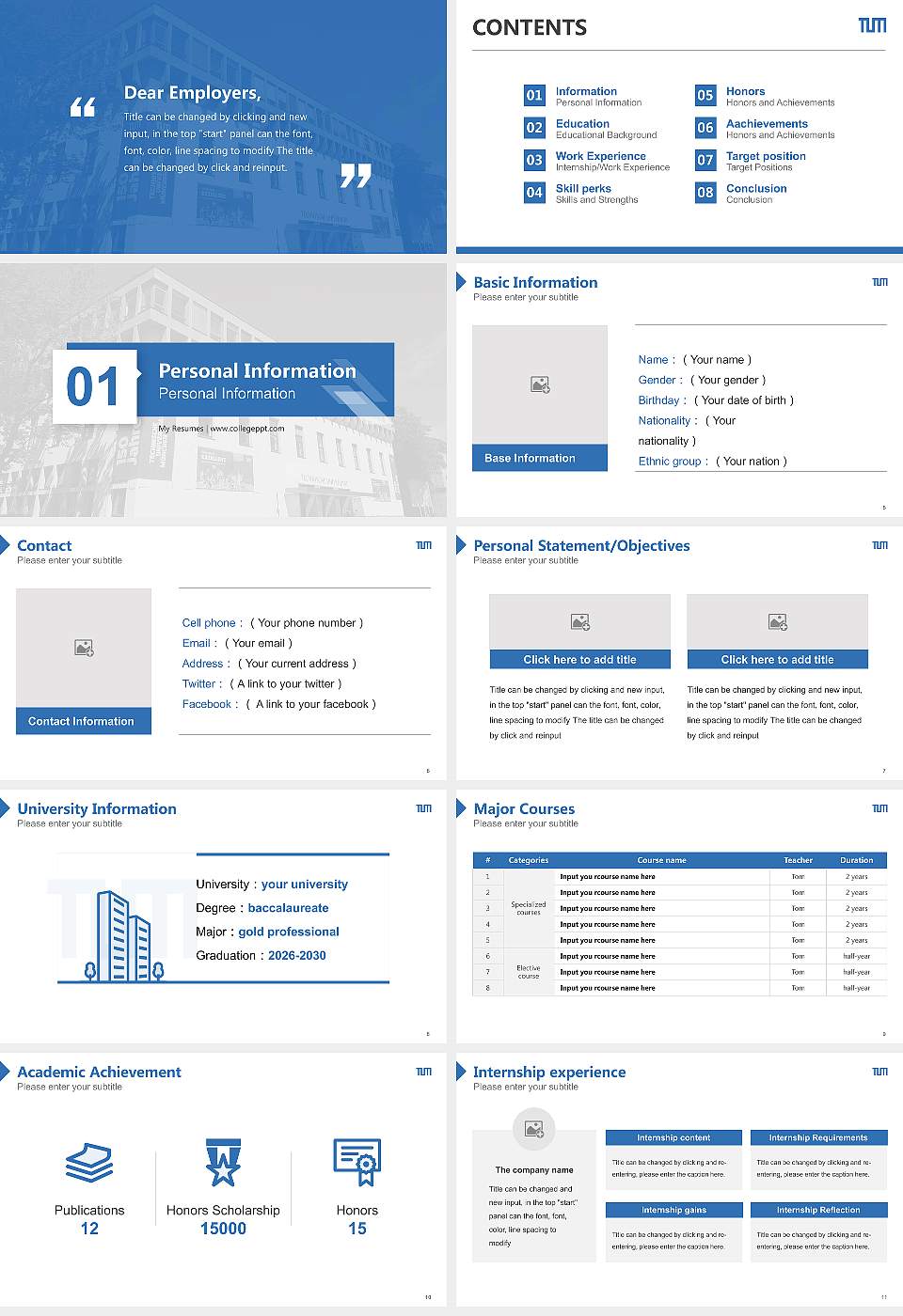 Technical University of Munich Resume PPT Template16:9 ratio PPT effect preview image2