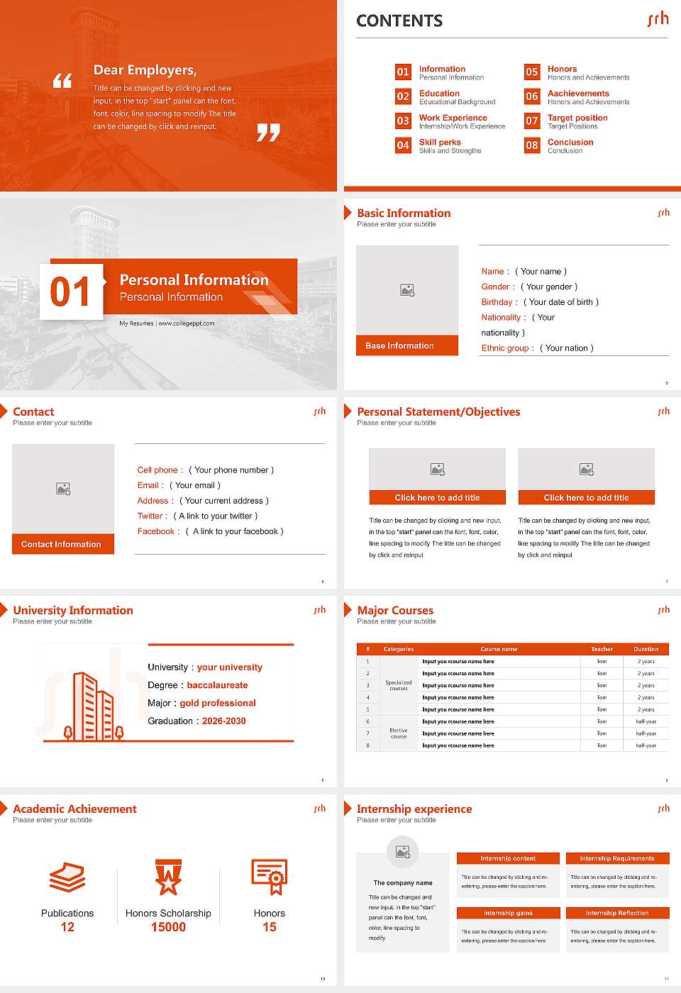 SRH University Heidelberg Resume PPT Template16:9 ratio PPT effect preview image2