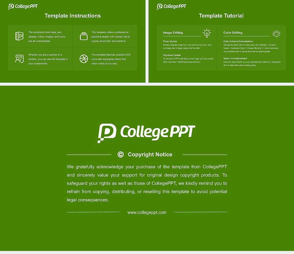University of Applied Sciences for the Bavarian Economy Course/Courseware Creation PPT Template16:9 ratio PPT effect preview image5