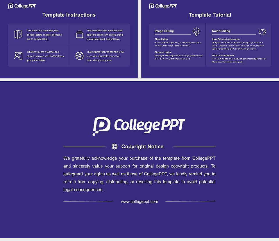IB University of Health and Social Sciences Course/Courseware Creation PPT Template16:9 ratio PPT effect preview image5