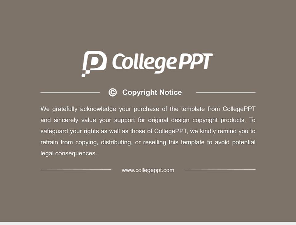 Pforzheim University – Design, Technology, Business and Law General PPT Template4:3 ratio PPT effect preview image6