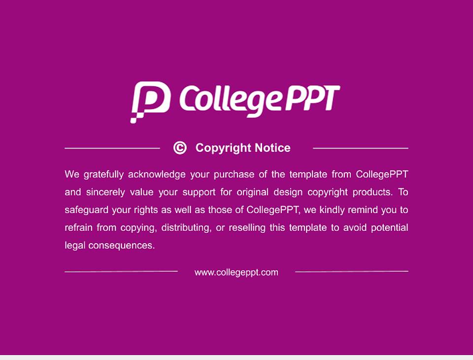 Kiel University Resume PPT Template4:3 ratio PPT effect preview image5
