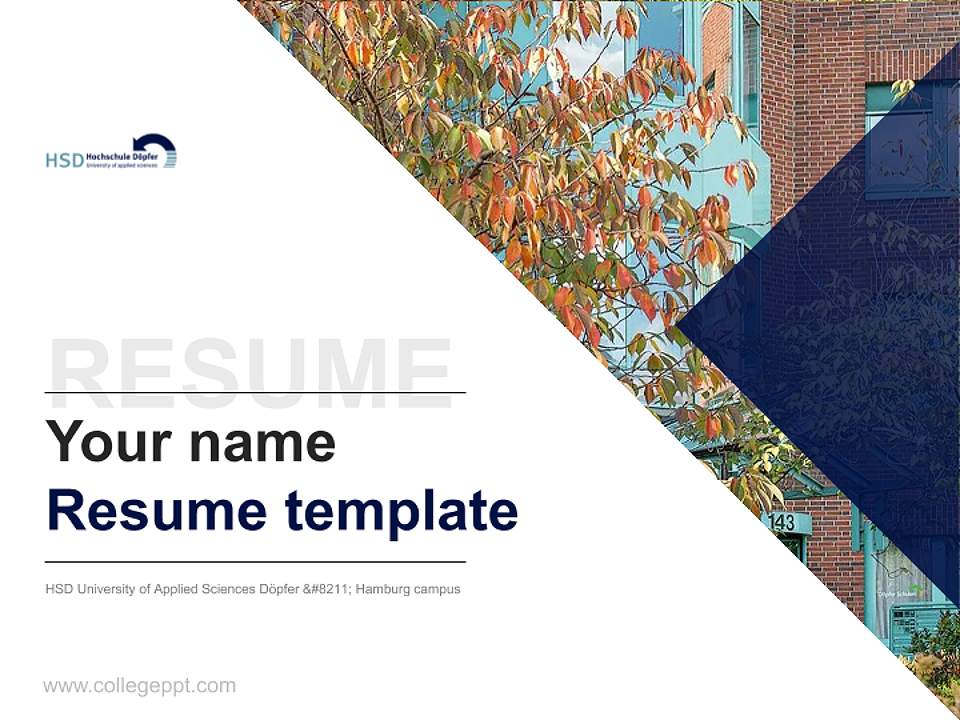 HSD University of Applied Sciences Döpfer – Hamburg campus Resume PPT Template4:3 ratio PPT effect preview image5