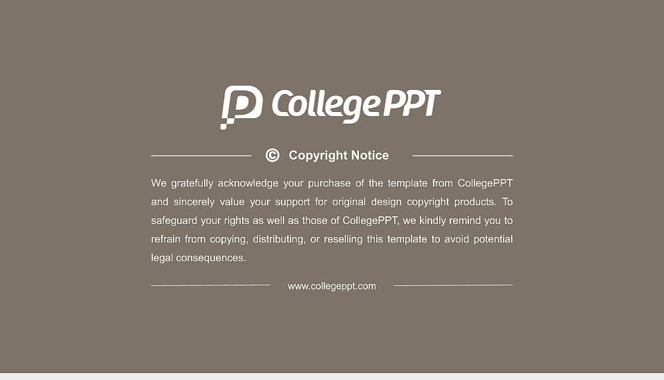 Pforzheim University – Design, Technology, Business and Law General PPT Template16:9 ratio PPT effect preview image6