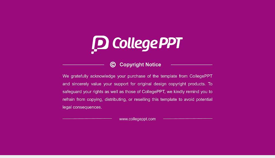 Kiel University Resume PPT Template16:9 ratio PPT effect preview image5
