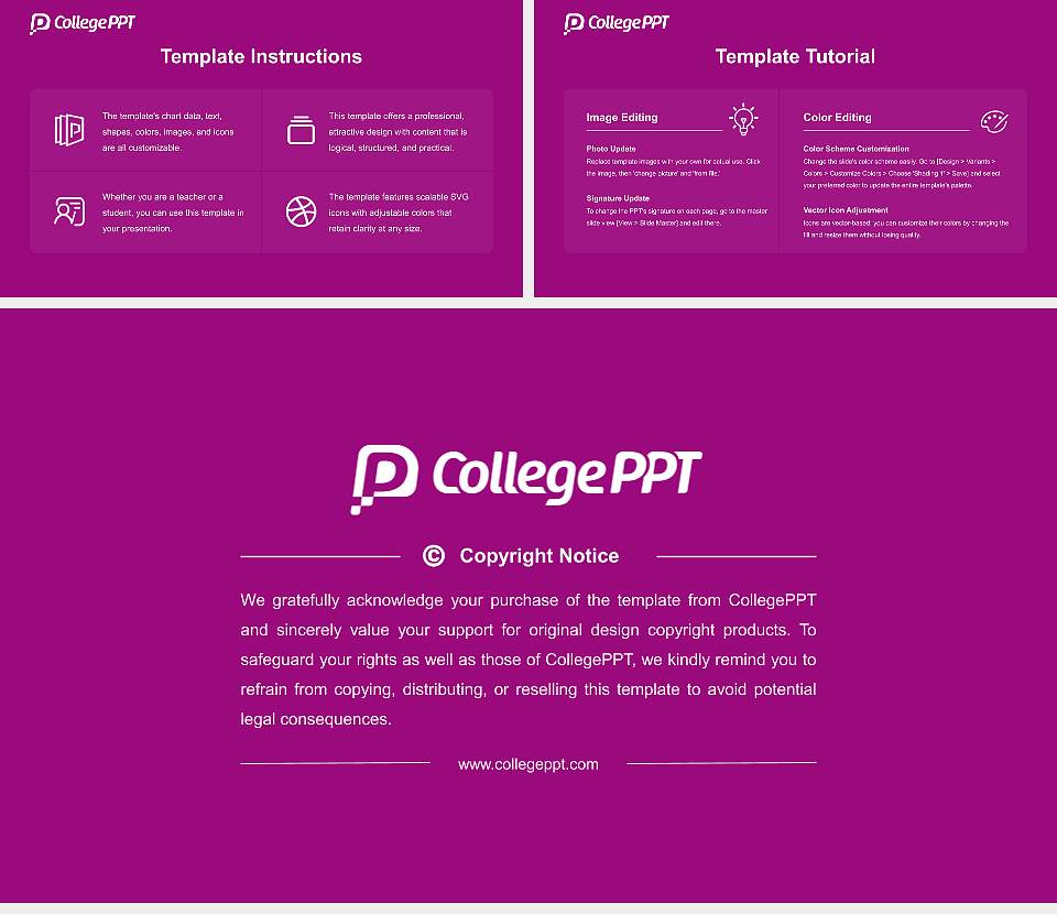 Kiel University Academic Presentation/Research Findings Report PPT Template16:9 ratio PPT effect preview image5