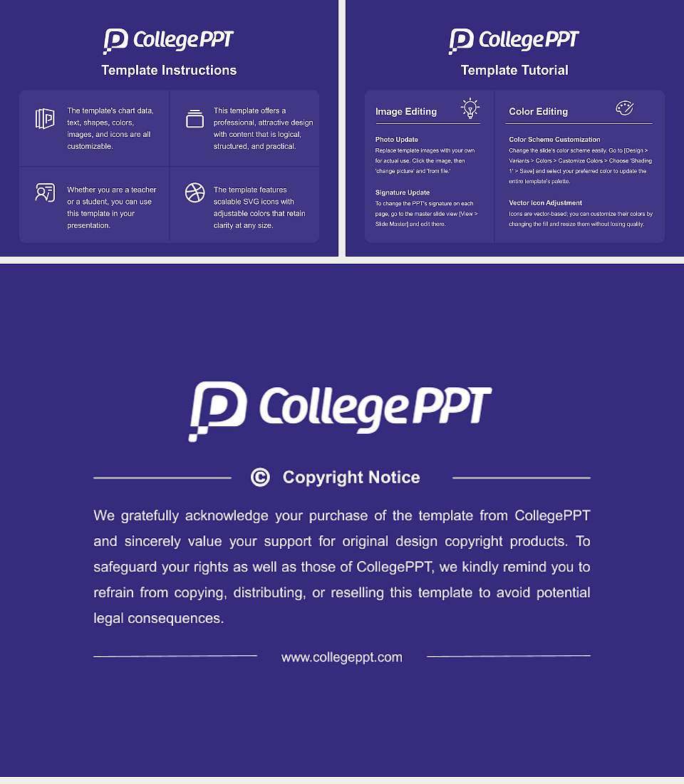 IB University of Health and Social Sciences Course/Courseware Creation PPT Template4:3 ratio PPT effect preview image5