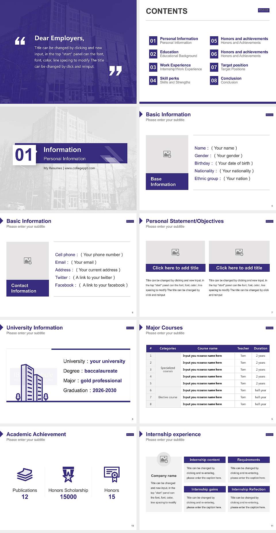 IB University of Health and Social Sciences Resume PPT Template4:3 ratio PPT effect preview image2