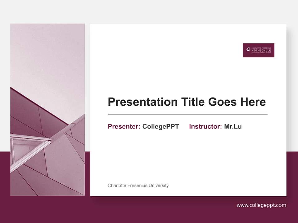 Charlotte Fresenius University General PPT Template4:3 ratio PPT effect preview image6