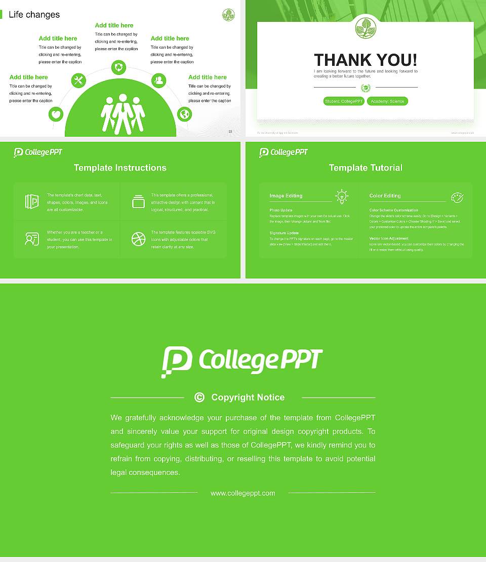 Fulda University of Applied Sciences National Scholarship Defense PPT Template16:9 ratio PPT effect preview image4