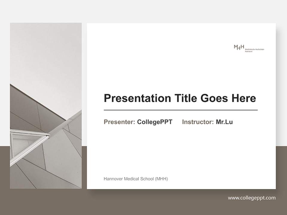 Hannover Medical School (MHH) General PPT Template4:3 ratio PPT effect preview image6