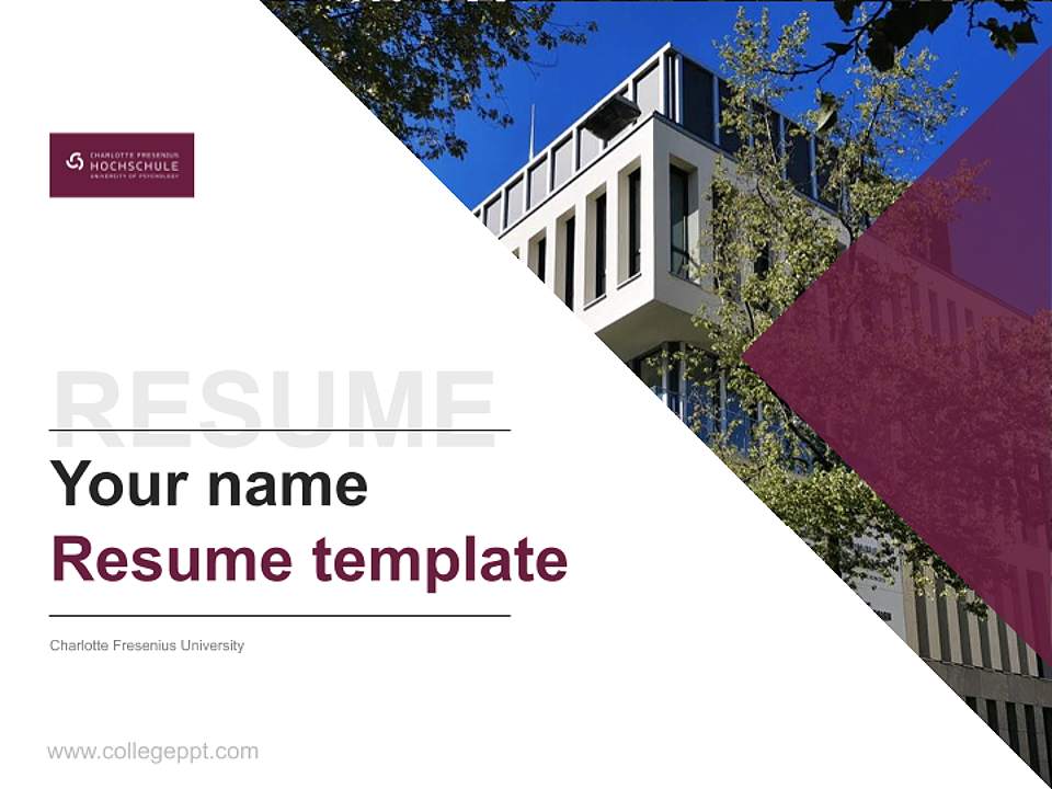 Charlotte Fresenius University Resume PPT Template4:3 ratio PPT effect preview image5
