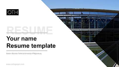 Eastern Bavarian Technical University of Regensburg Resume PPT Template