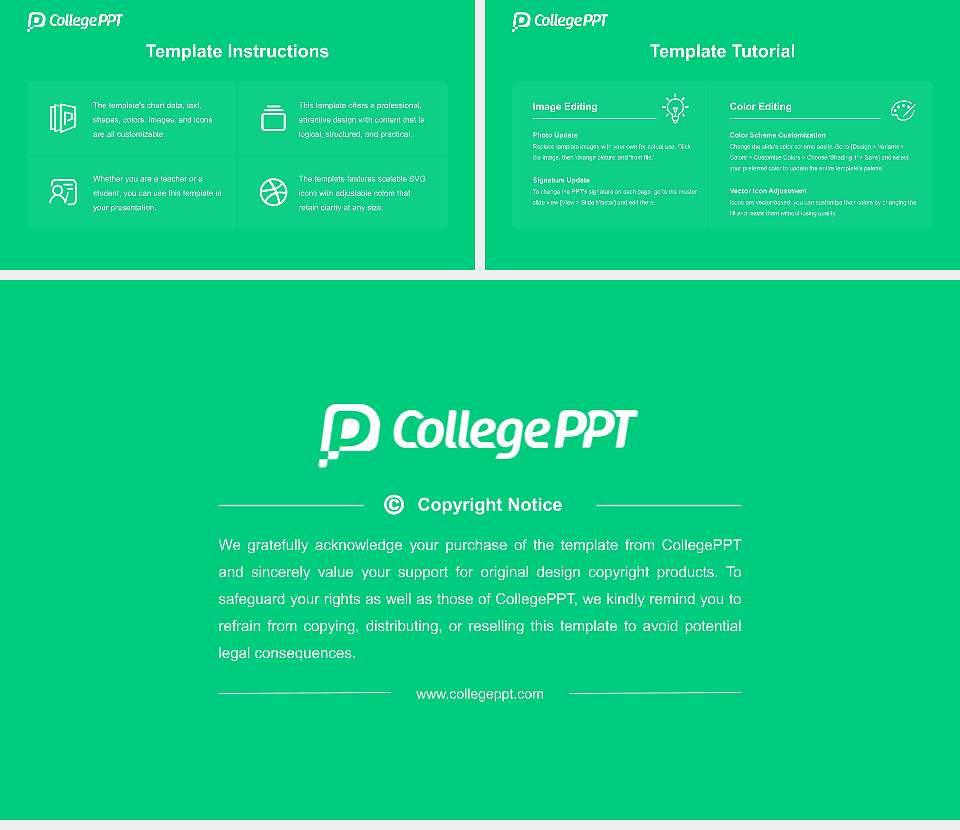 Furtwangen University Course/Courseware Creation PPT Template16:9 ratio PPT effect preview image5