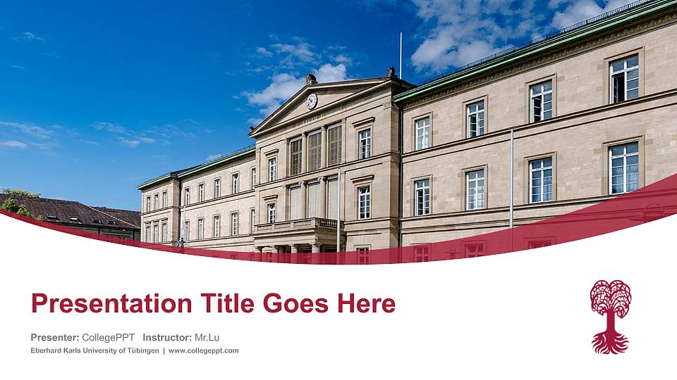 Eberhard Karls University of Tübingen Course/Courseware Creation PPT Template16:9 ratio PPT effect preview image
