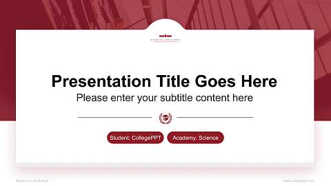 Bucerius Law School National Scholarship Defense PPT Template