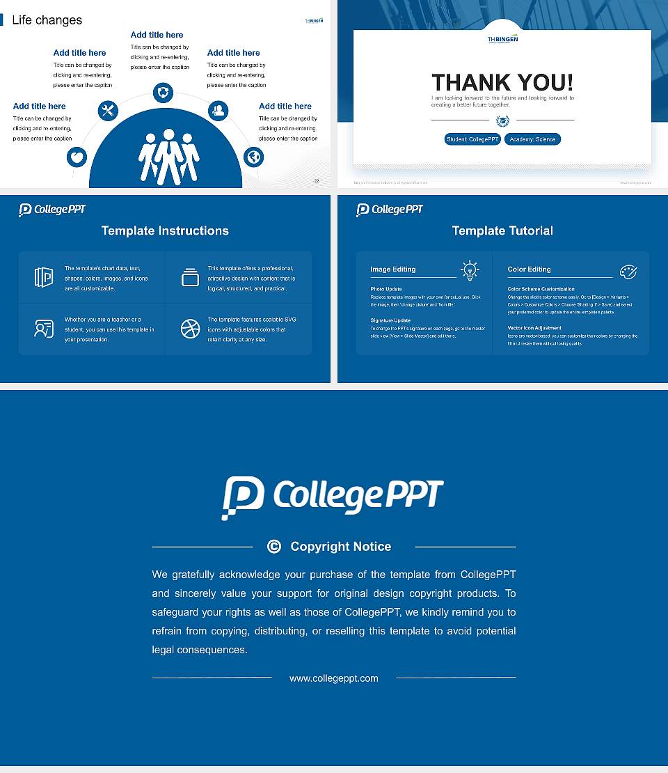 Bingen Technical University of Applied Sciences National Scholarship Defense PPT Template16:9 ratio PPT effect preview image4