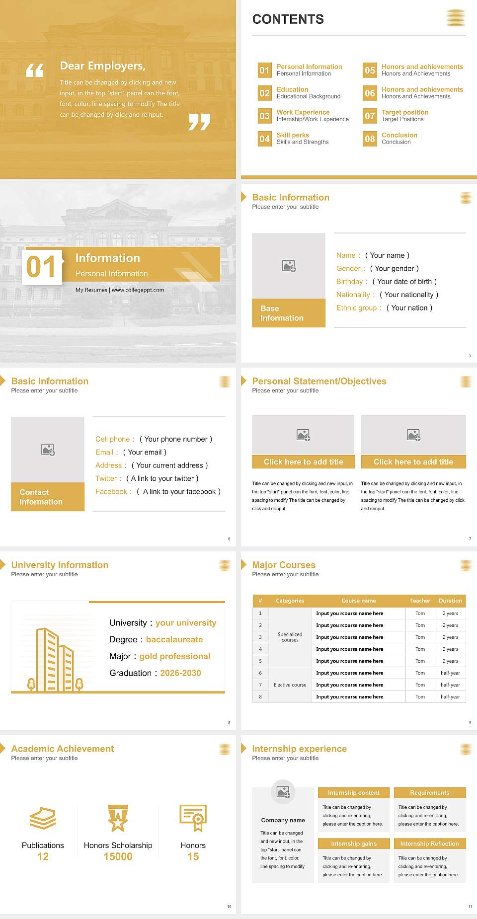 Carl Maria von Weber University of Music Dresden Resume PPT Template4:3 ratio PPT effect preview image2